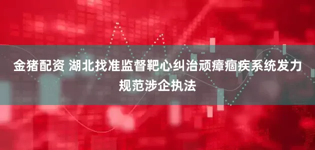 金猪配资 湖北找准监督靶心纠治顽瘴痼疾系统发力规范涉企执法